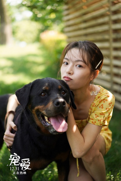 宠爱剧照的剧照