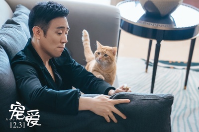 宠爱剧照的剧照