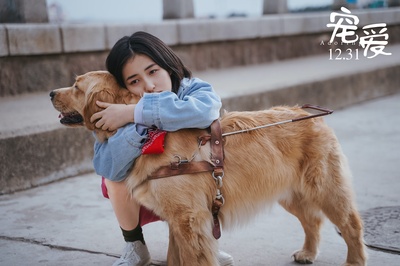 宠爱剧照的剧照