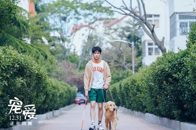 宠爱剧照的剧照