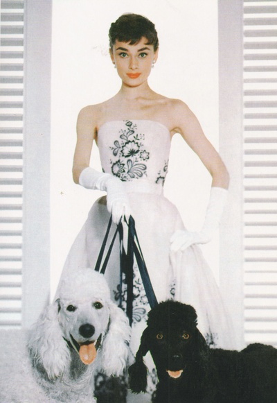 龙凤配剧照的剧照