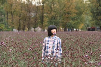 曼陀罗剧照的剧照