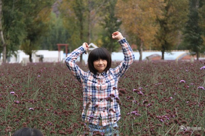 曼陀罗剧照的剧照