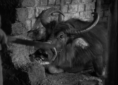 大地剧照的剧照