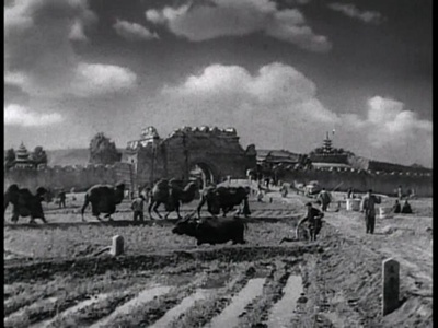 大地剧照的剧照