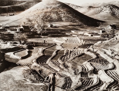 大地剧照的剧照