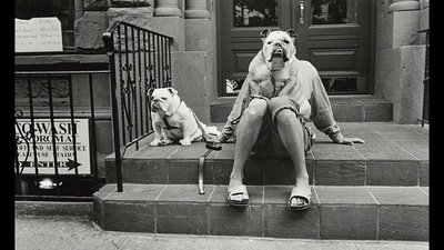 街拍纽约剧照的剧照