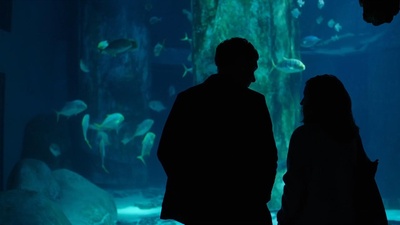 时间中的孩子剧照的剧照