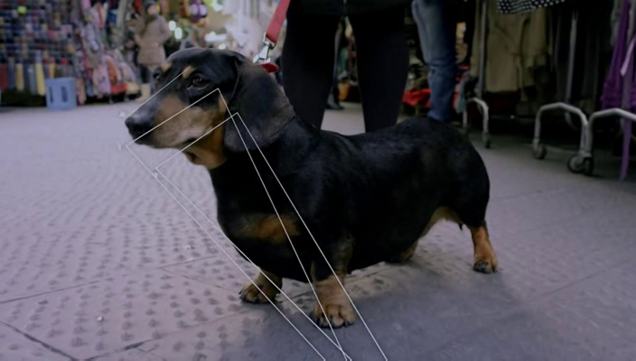 达·芬奇的人生密码剧照的剧照