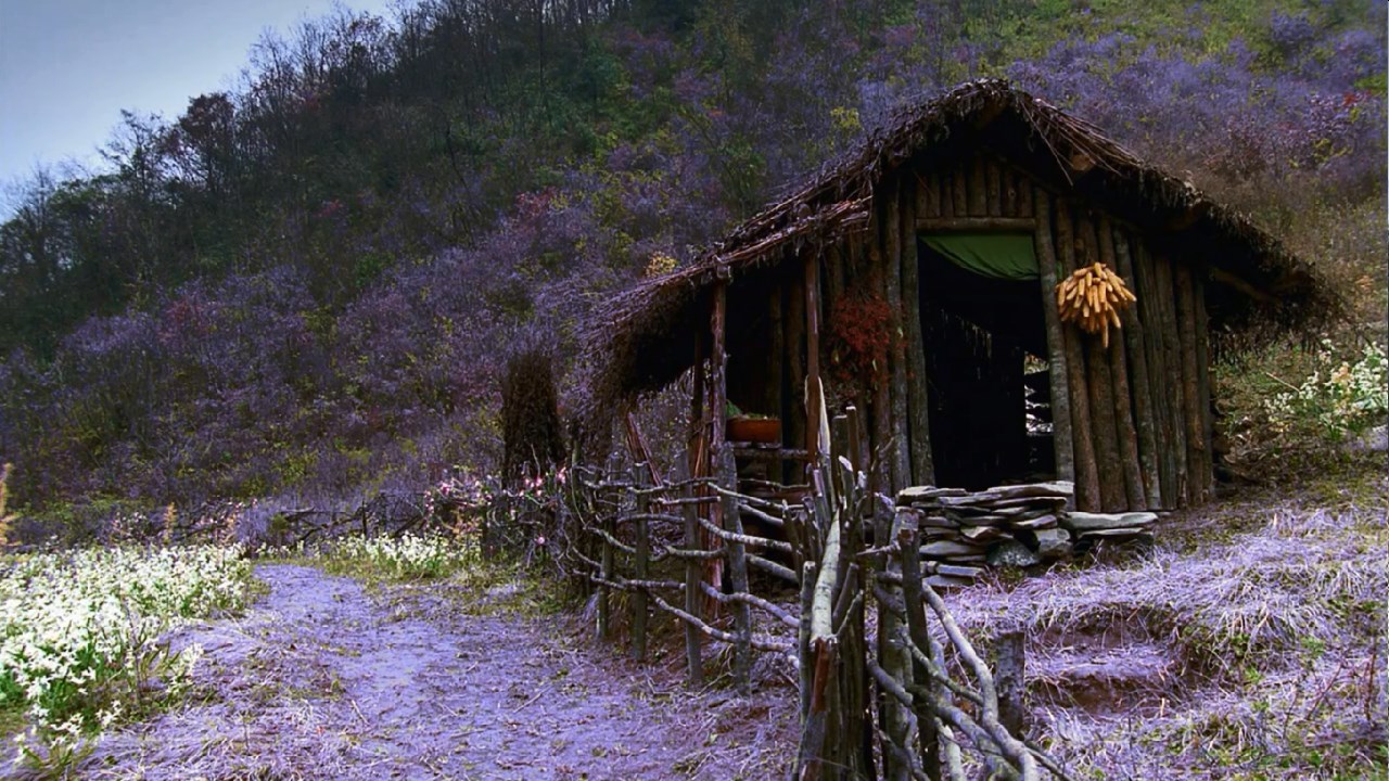 情癫大圣剧照的剧照