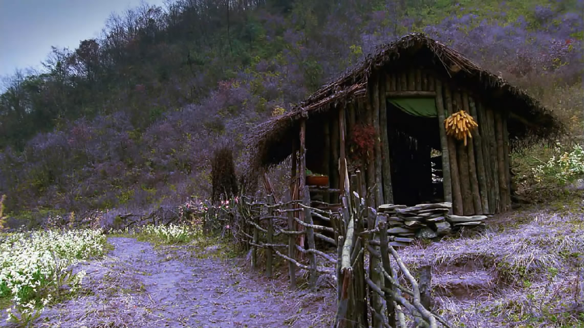 情癫大圣剧照的剧照