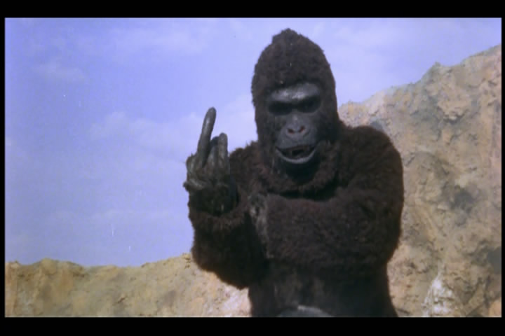 猿猴剧照的剧照