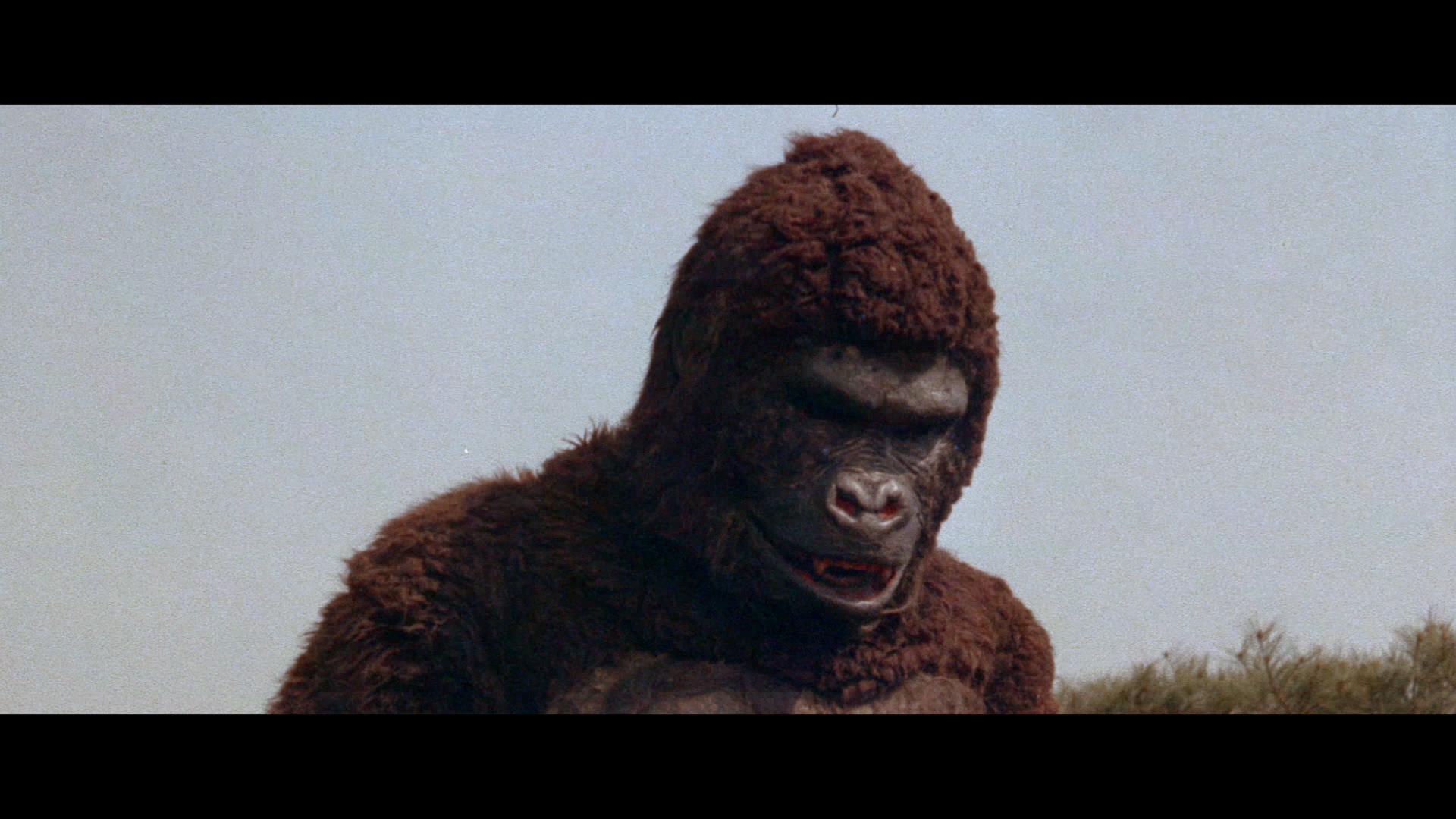 猿猴剧照的剧照