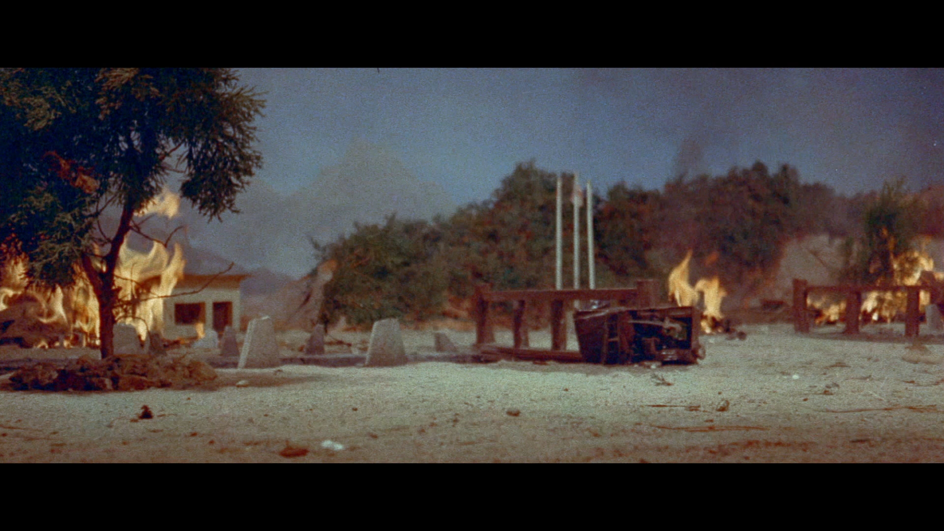 猿猴剧照的剧照