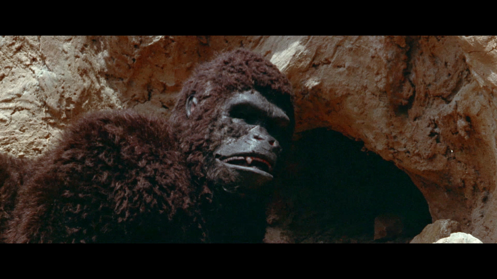 猿猴剧照的剧照