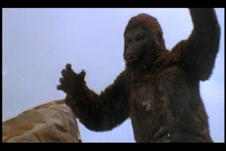 猿猴剧照的剧照