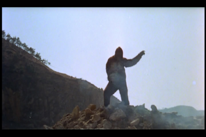 猿猴剧照的剧照