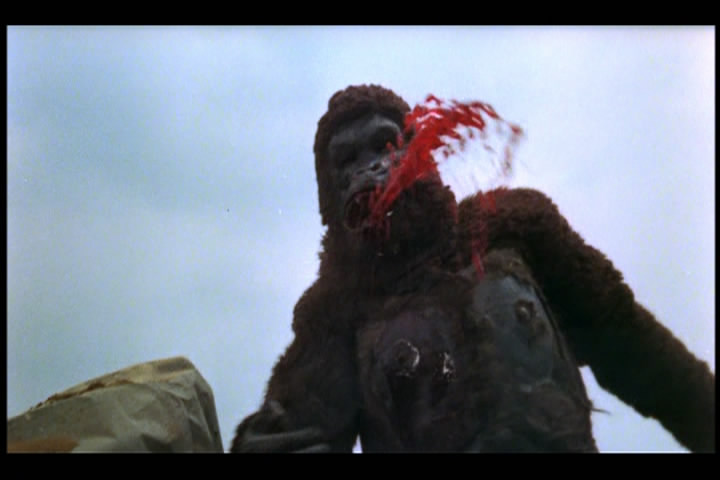 猿猴剧照的剧照