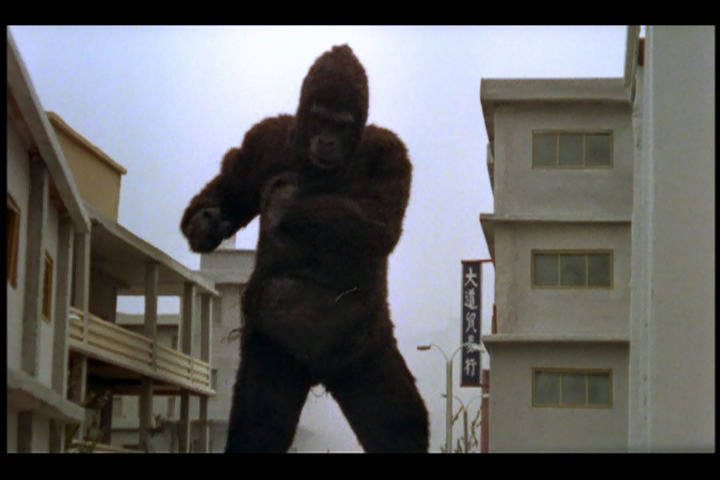 猿猴剧照的剧照