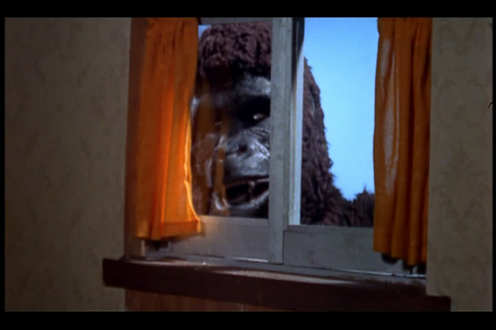 猿猴剧照的剧照