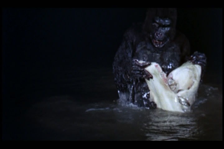 猿猴剧照的剧照