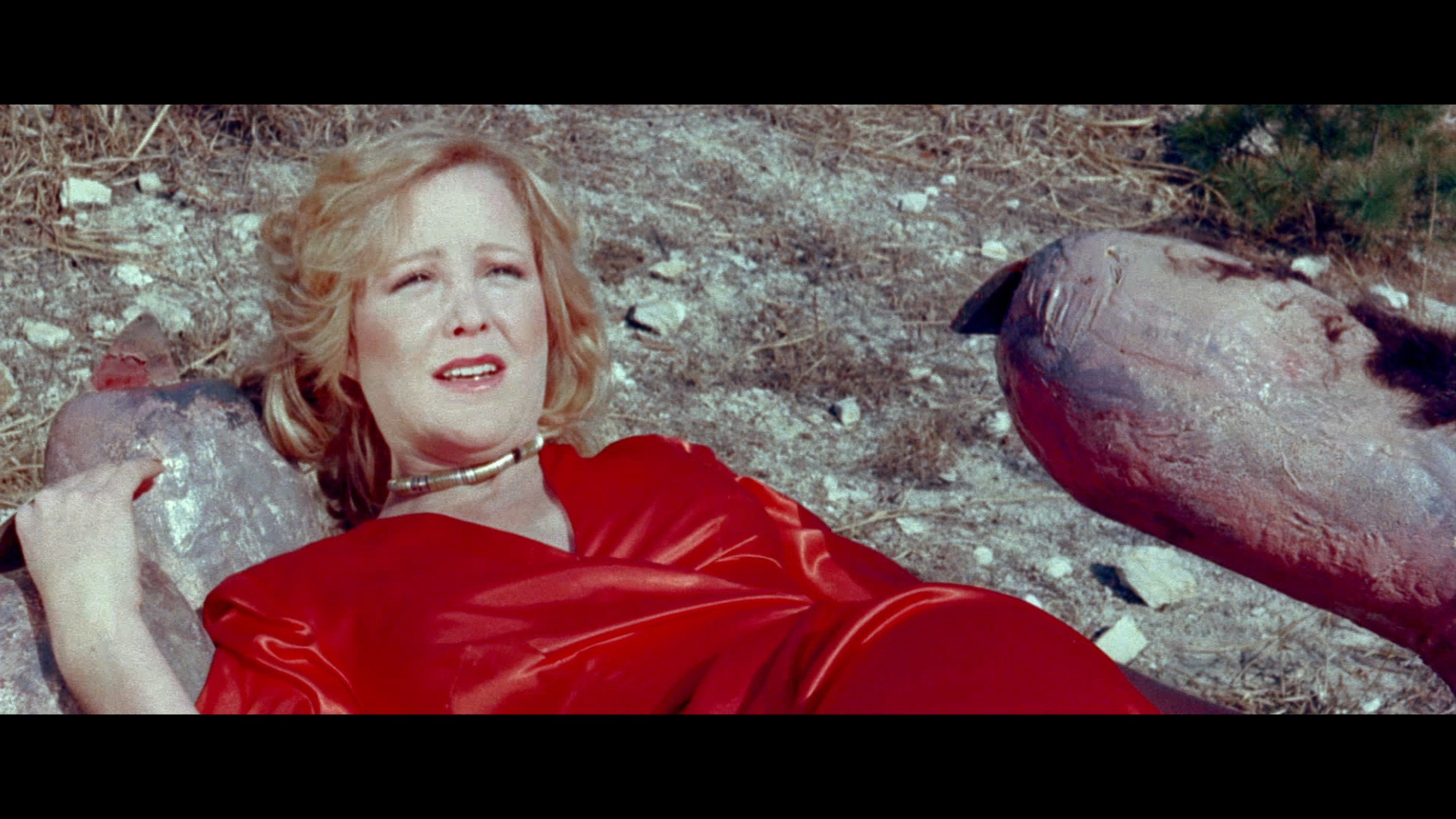 猿猴剧照的剧照