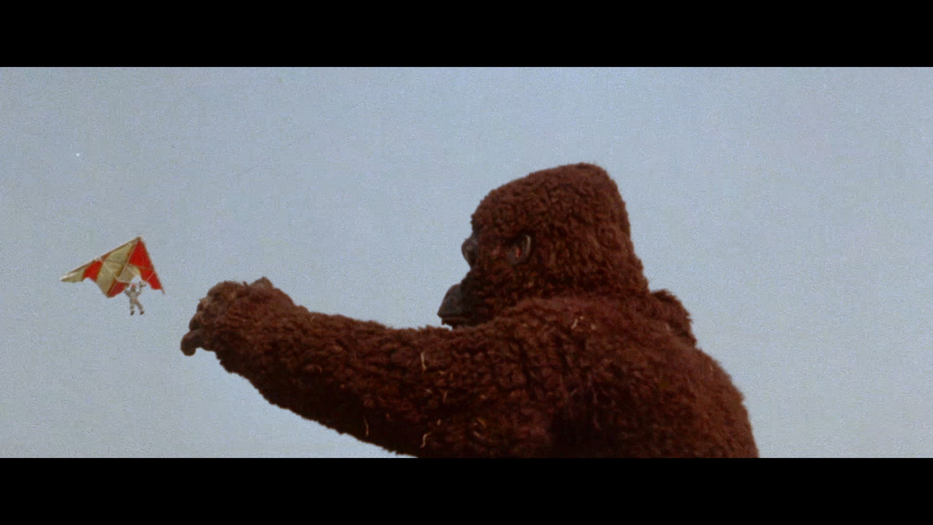 猿猴剧照的剧照