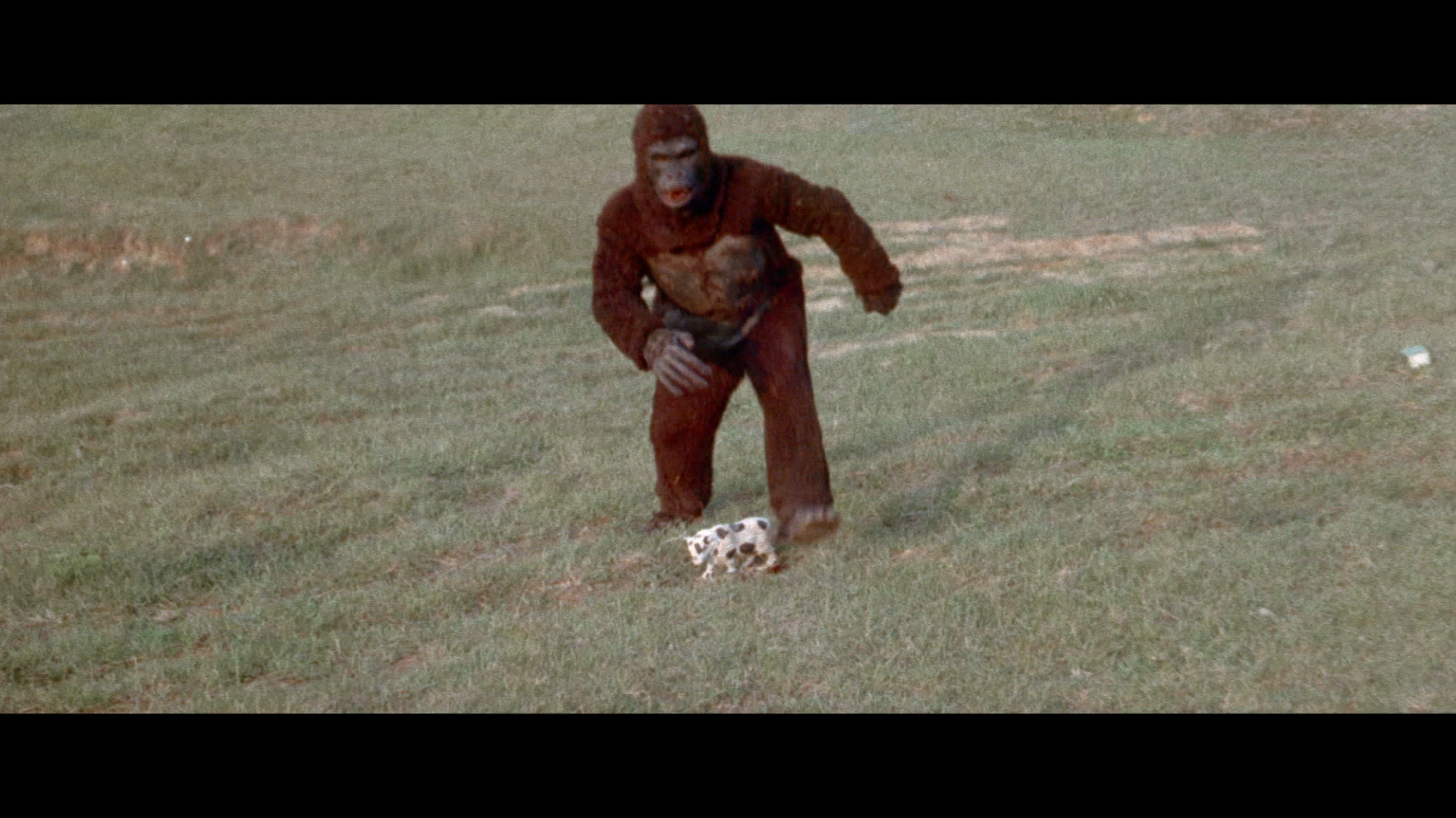 猿猴剧照的剧照