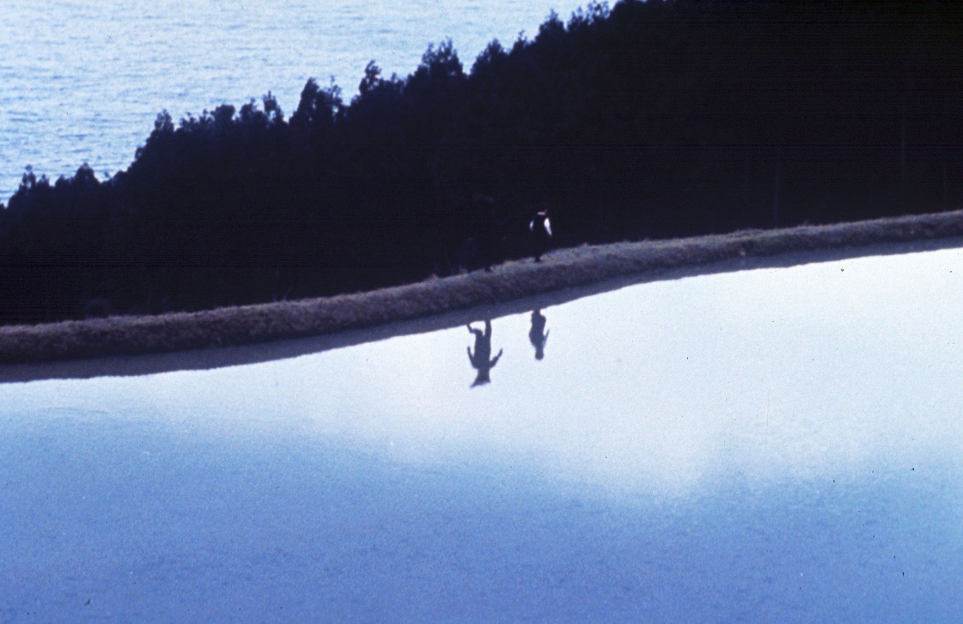 幻之光剧照的剧照