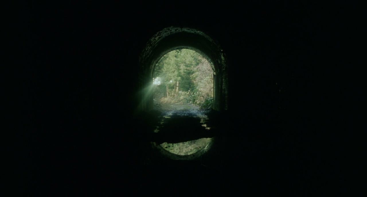 幻之光剧照的剧照