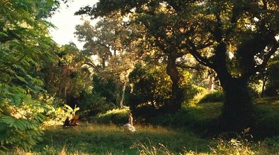 雷诺阿剧照的剧照