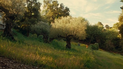 雷诺阿剧照的剧照