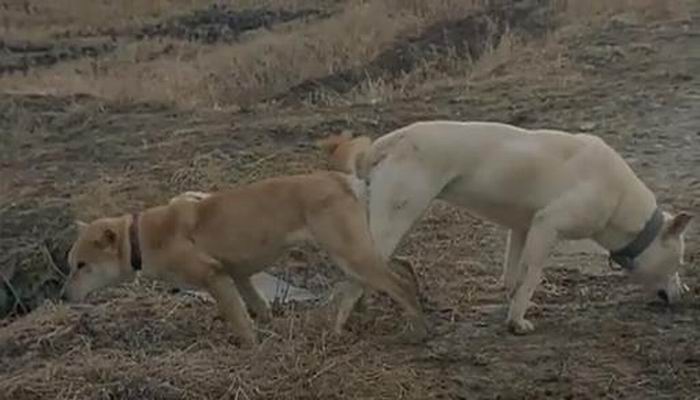 收件人不详剧照的剧照