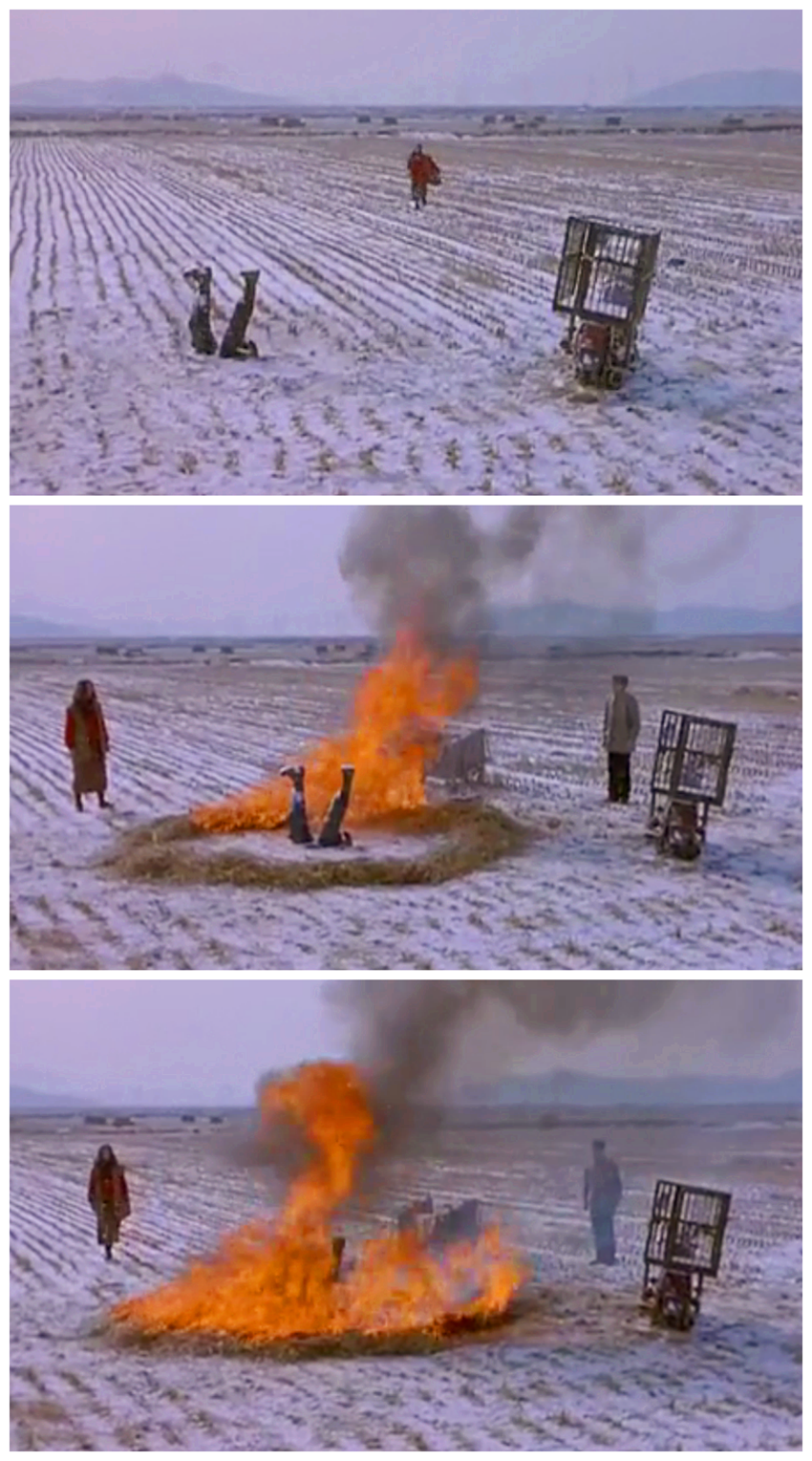 收件人不详剧照的剧照