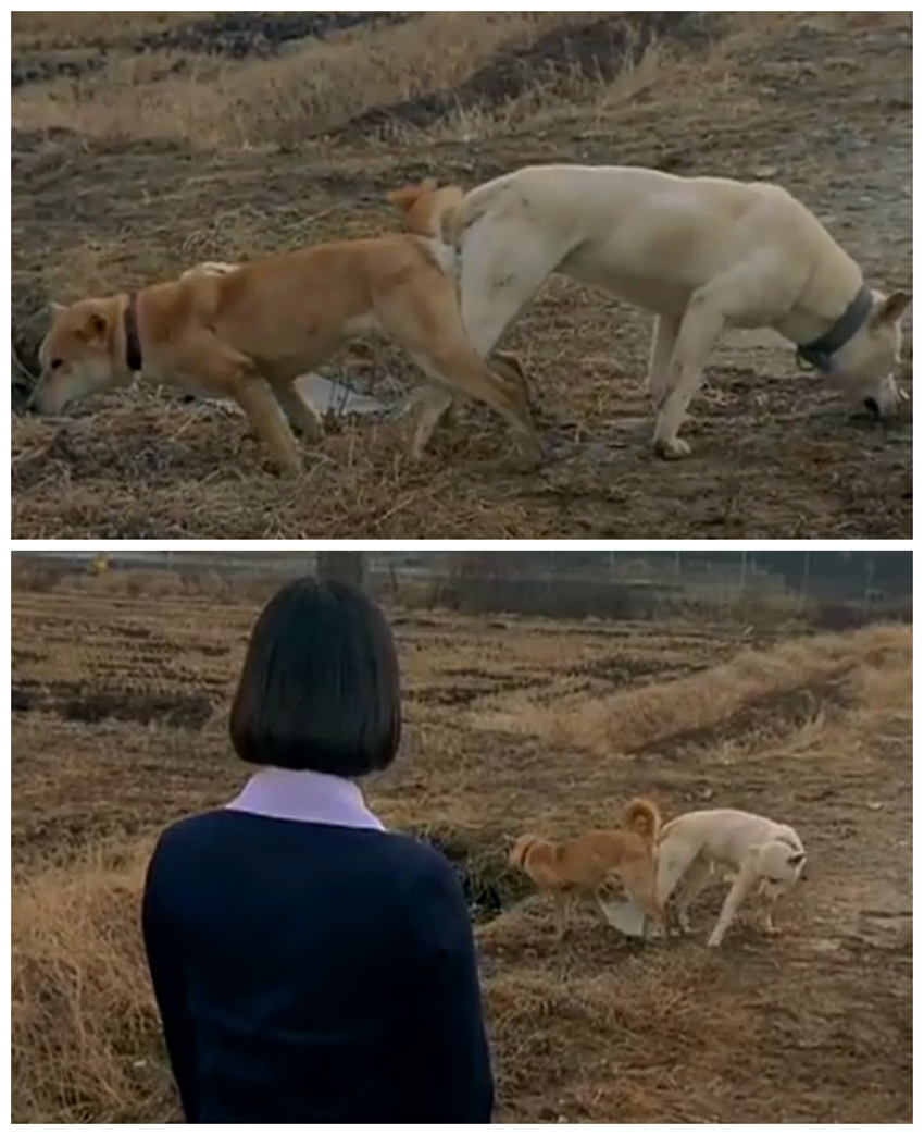 收件人不详剧照的剧照