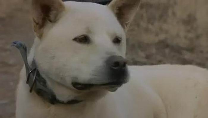 收件人不详剧照的剧照