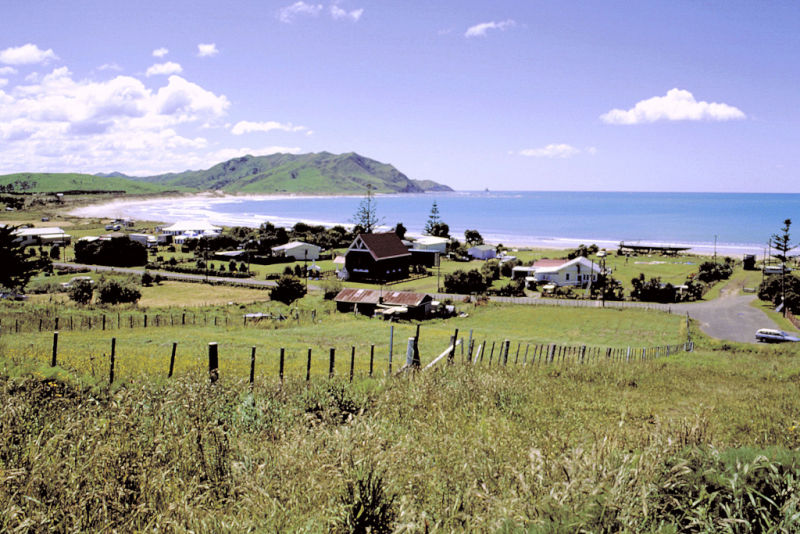 鲸骑士剧照的剧照