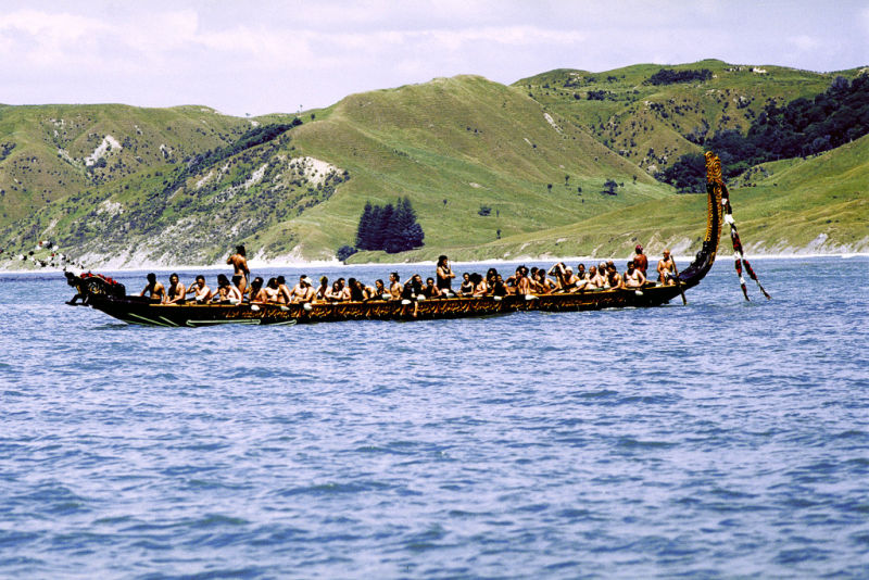 鲸骑士剧照的剧照