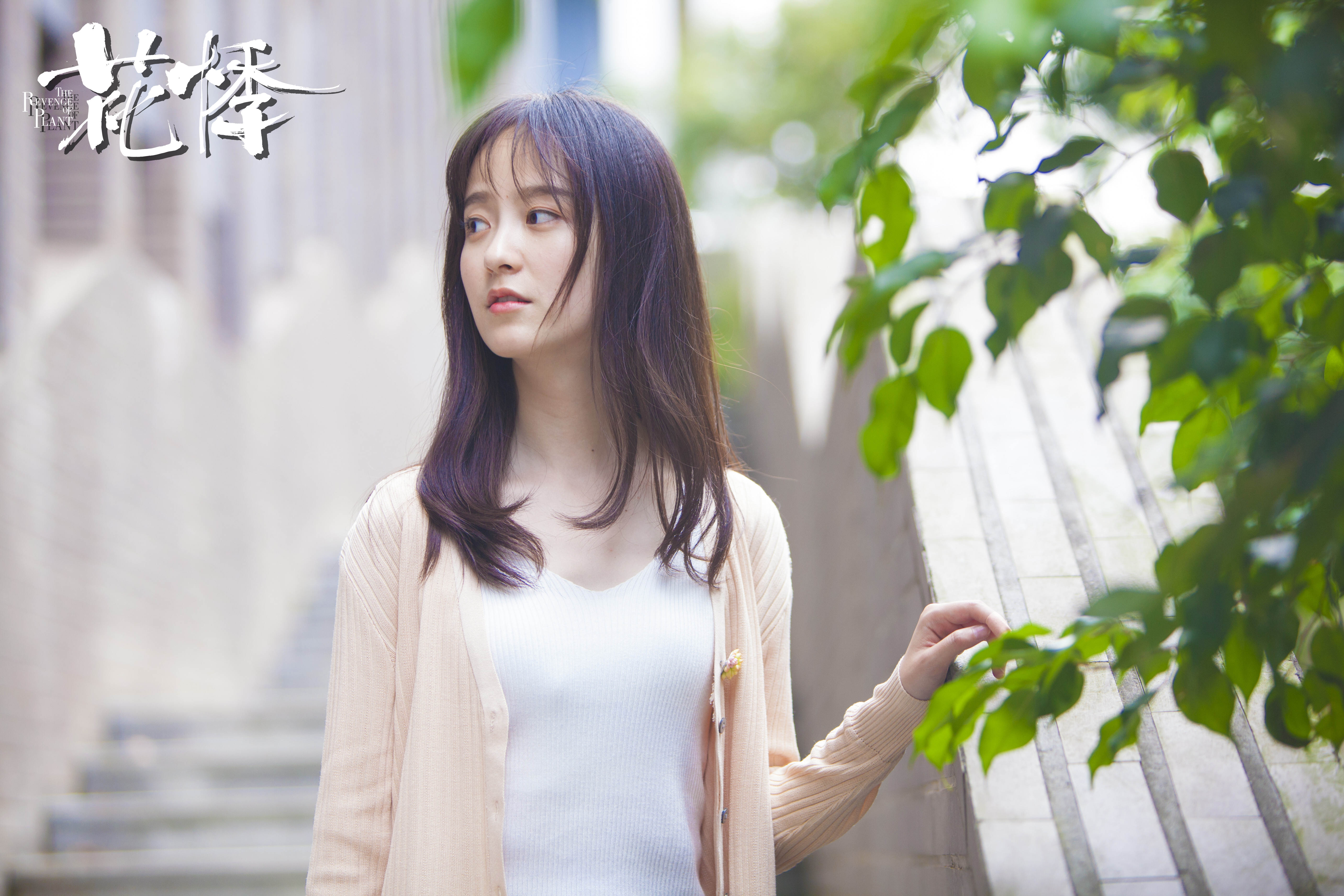 花悸剧照的剧照