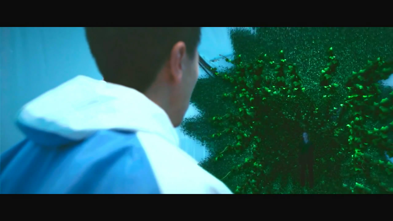 花悸剧照的剧照