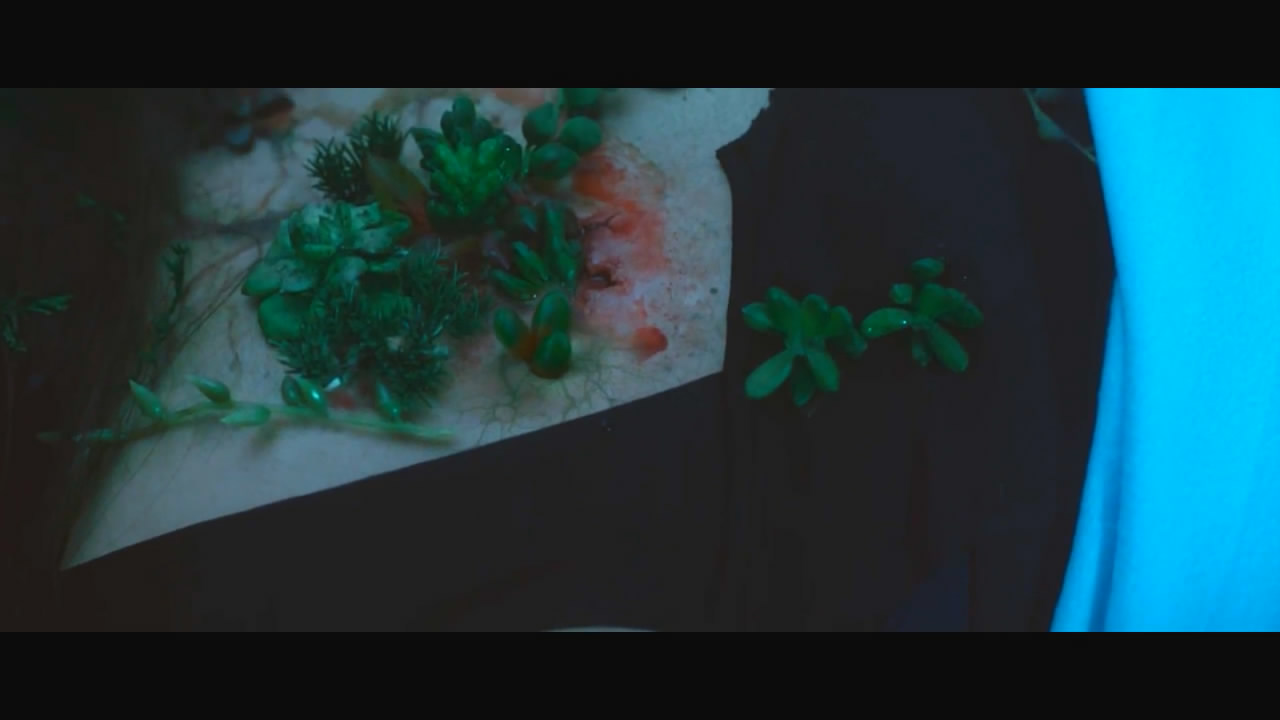 花悸剧照的剧照