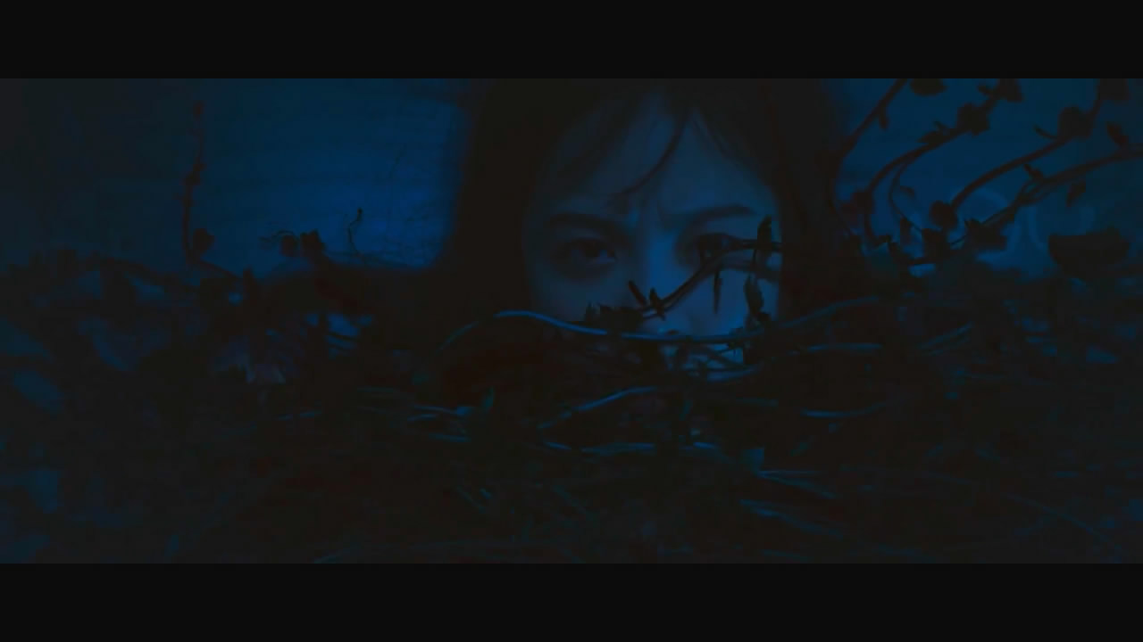 花悸剧照的剧照