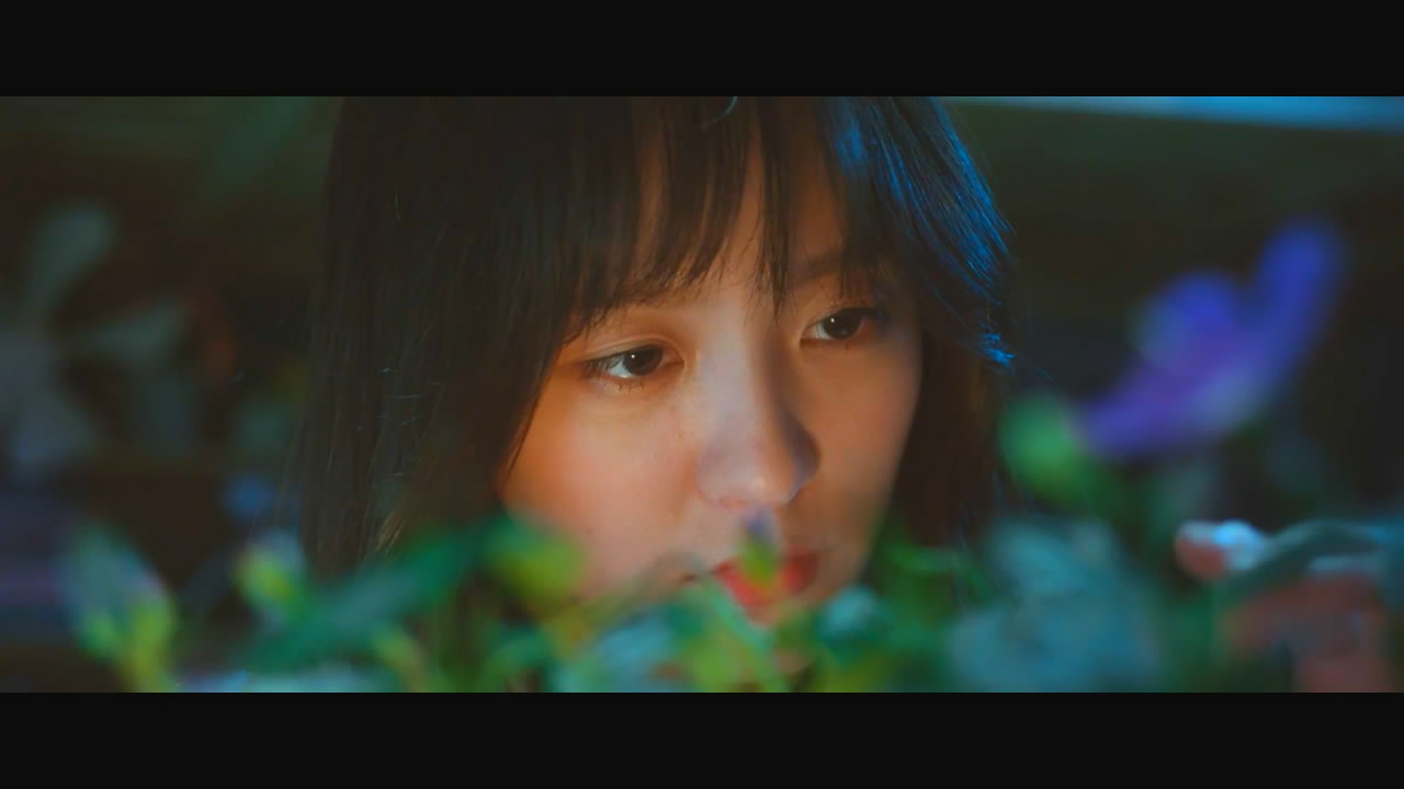 花悸剧照的剧照