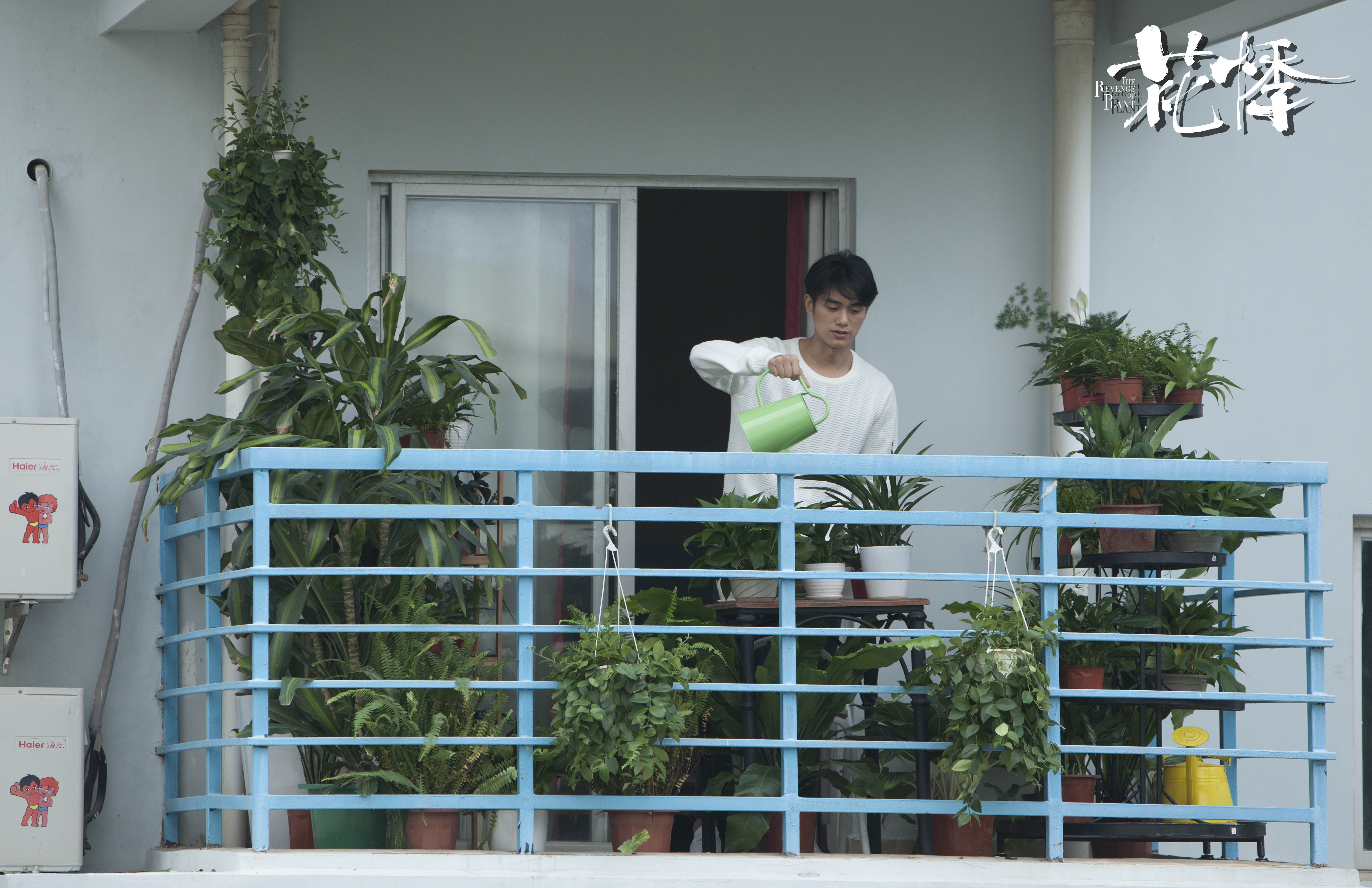 花悸剧照的剧照