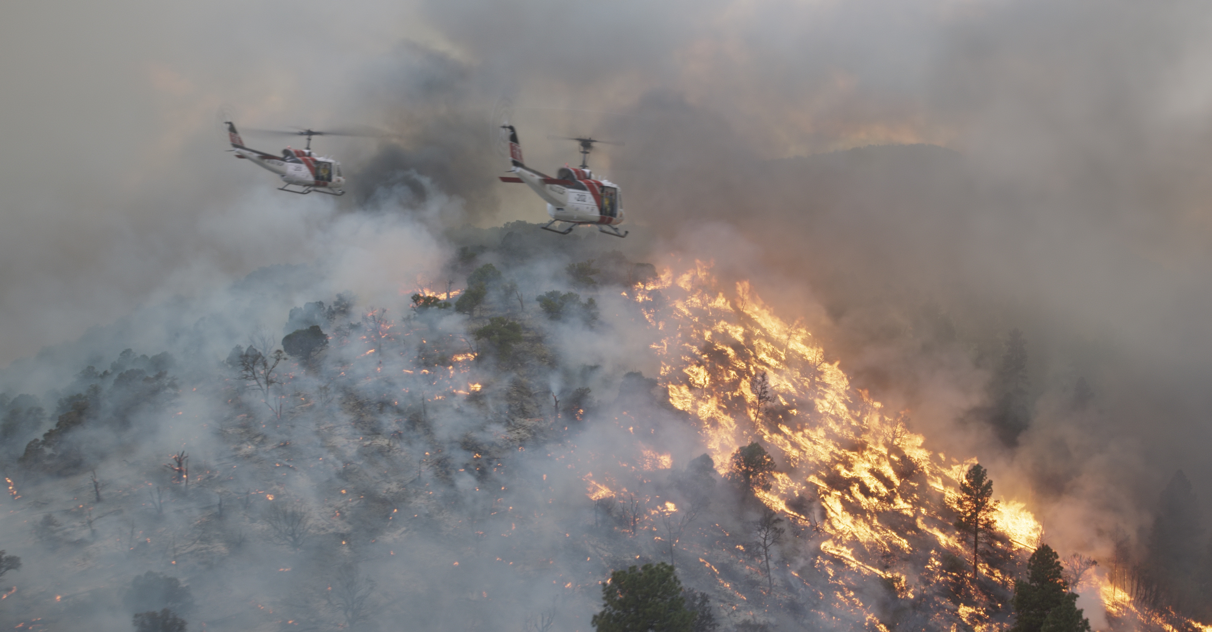 勇往直前剧照的剧照