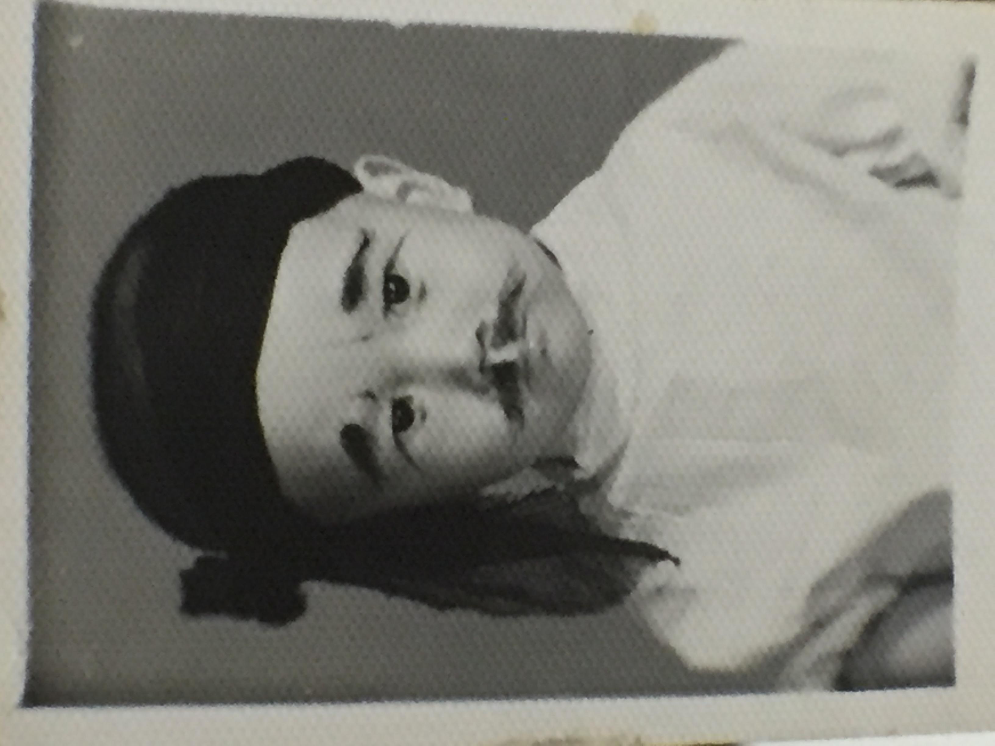 新乌龙院之笑闹江湖剧照的剧照