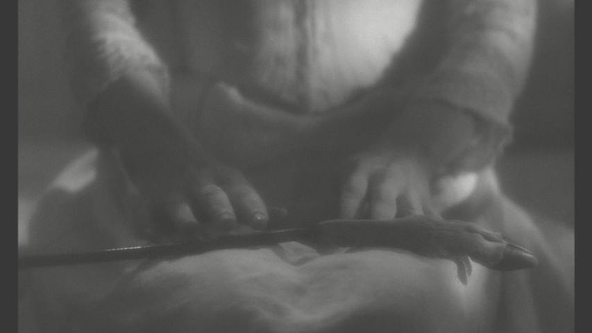 本杰明学院剧照的剧照