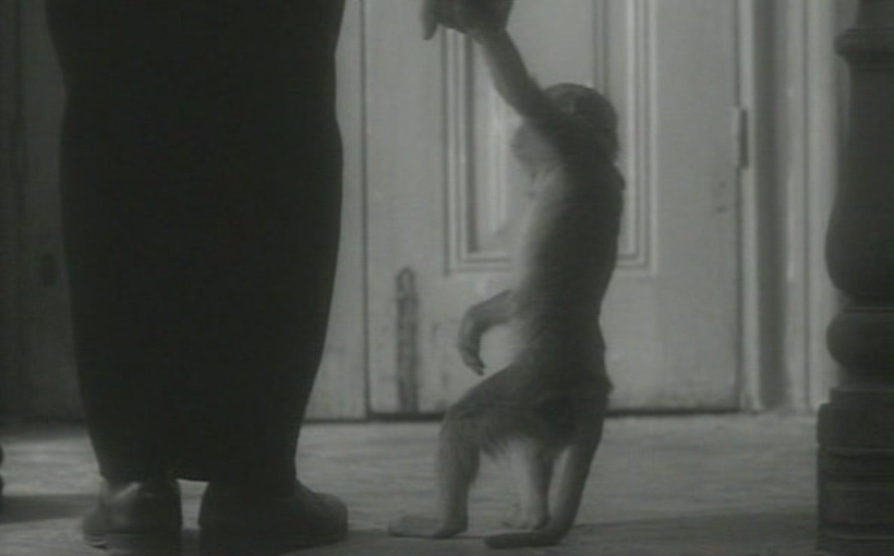 本杰明学院剧照的剧照