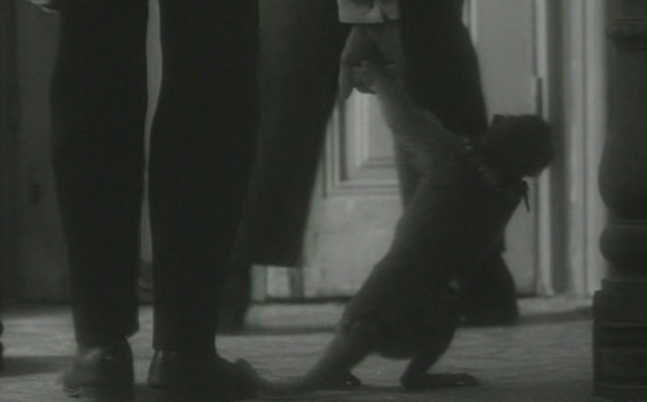 本杰明学院剧照的剧照