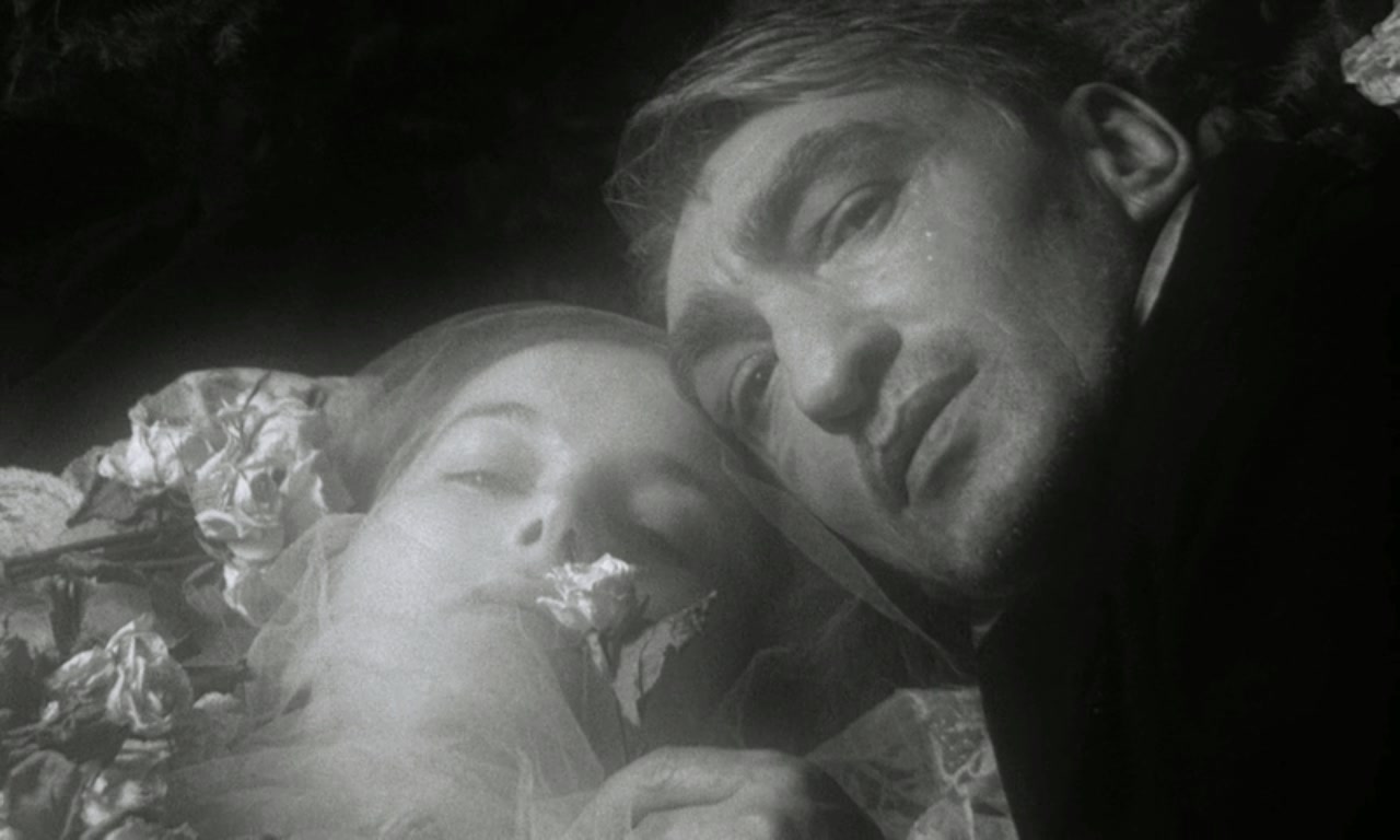 本杰明学院剧照的剧照